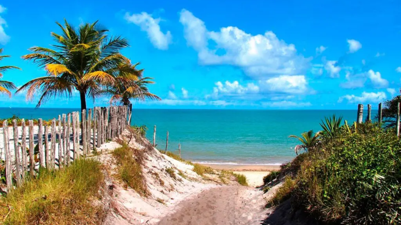 Se você busca tranquilidade, belas praias e um contato genuíno com a natureza, Jocotoka é o destino perfeito.