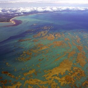 Se você busca tranquilidade, belas praias e um contato genuíno com a natureza, o Jocotoka Village é o destino perfeito.