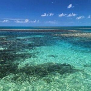 Se você busca tranquilidade, belas praias e um contato genuíno com a natureza, Jocotoka é o destino perfeito.